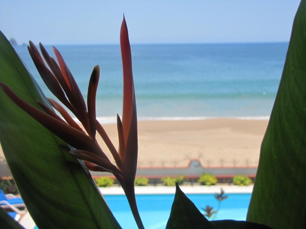Hotel La Paloma Oceanfront Retreat à San Patricio - Melaque Chambre photo